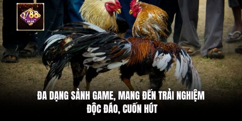 Đa dạng sảnh game, mang đến trải nghiệm độc đáo