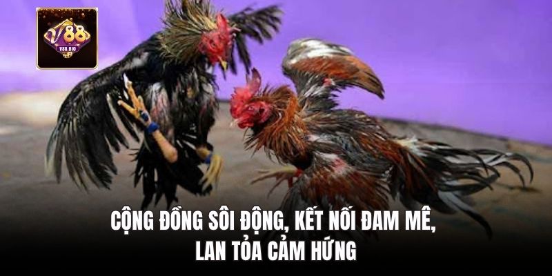 Cộng đồng sôi động, kết nối đam mê