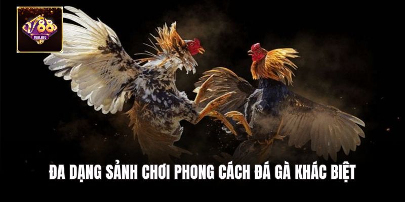 Đa dạng sảnh chơi phong cách đá gà khác biệt